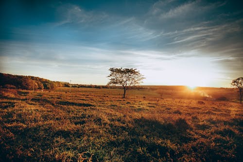 Gratis stockfoto met aarde, adembenemend, blauwe lucht