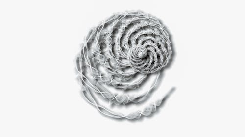 Spiral Textile in Grayscale