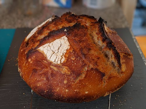 Free stock photo of baker, bakery, bread