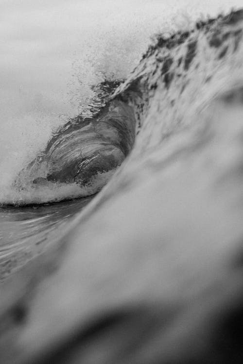 Fotos de stock gratuitas de blanco y negro, de cerca, decir adiós con la mano