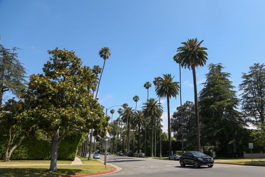 Light blue cloudless sky over modern black automobile riding on even asphalt road surrounded by trees and lawns in daytime