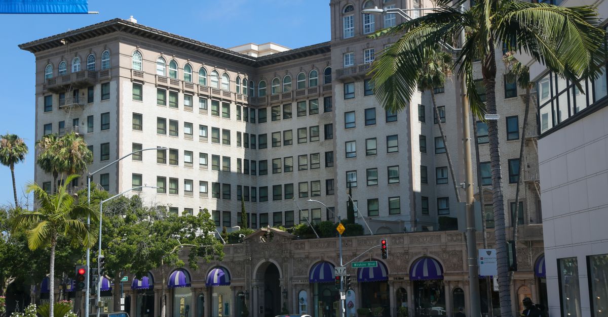 Cars and tall green palms next to majestic multi storey building under vibrant blue sky in touristic city in daytime