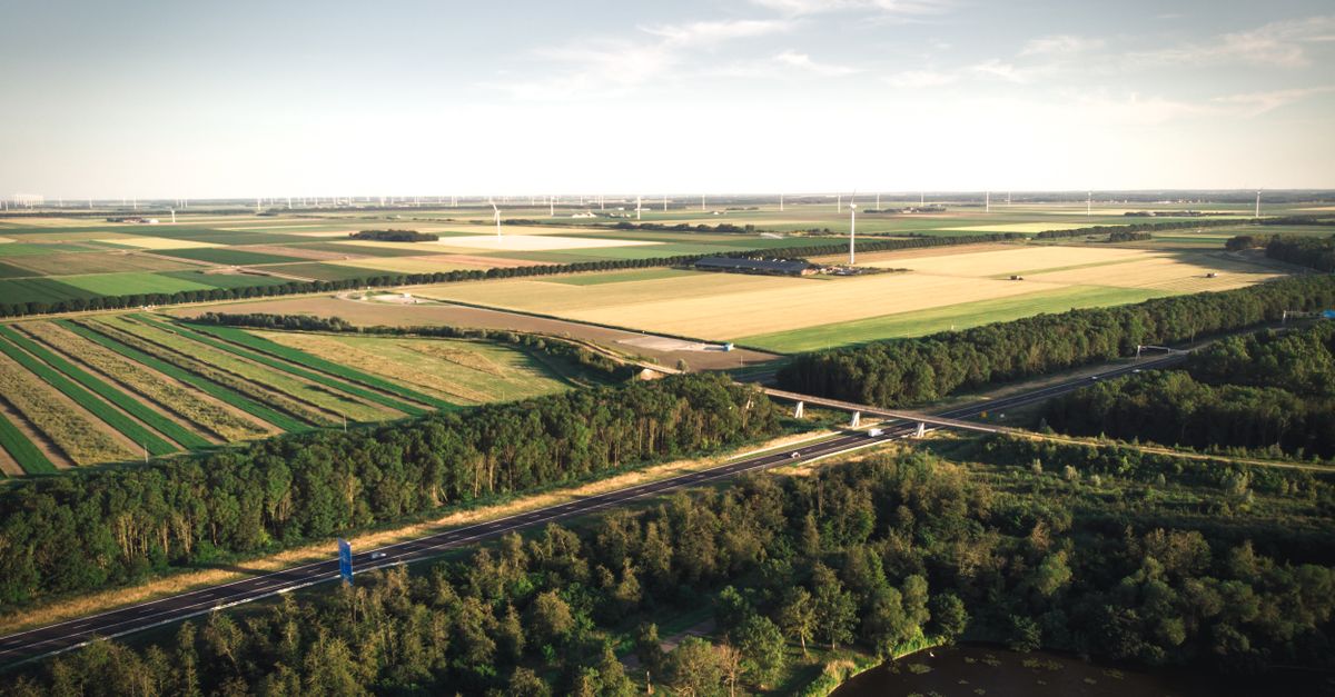 lowlands 2026