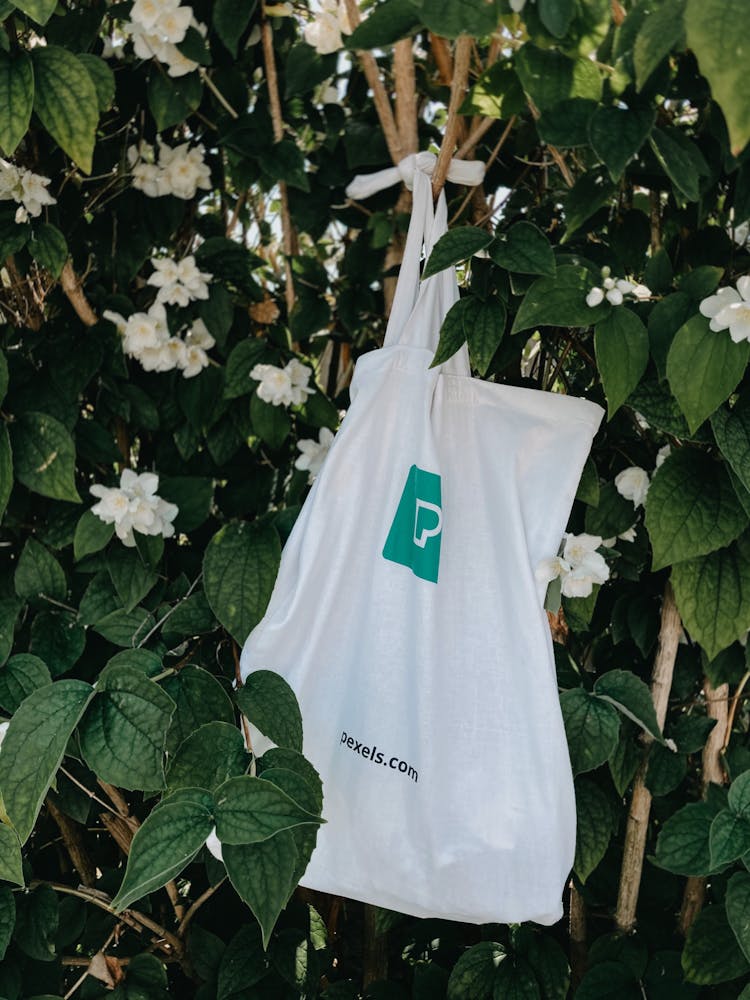 Cotton Bag Hanging On Tree