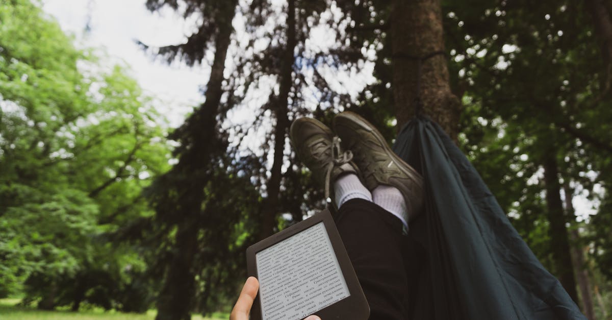 Les livres numériques belges incontournables