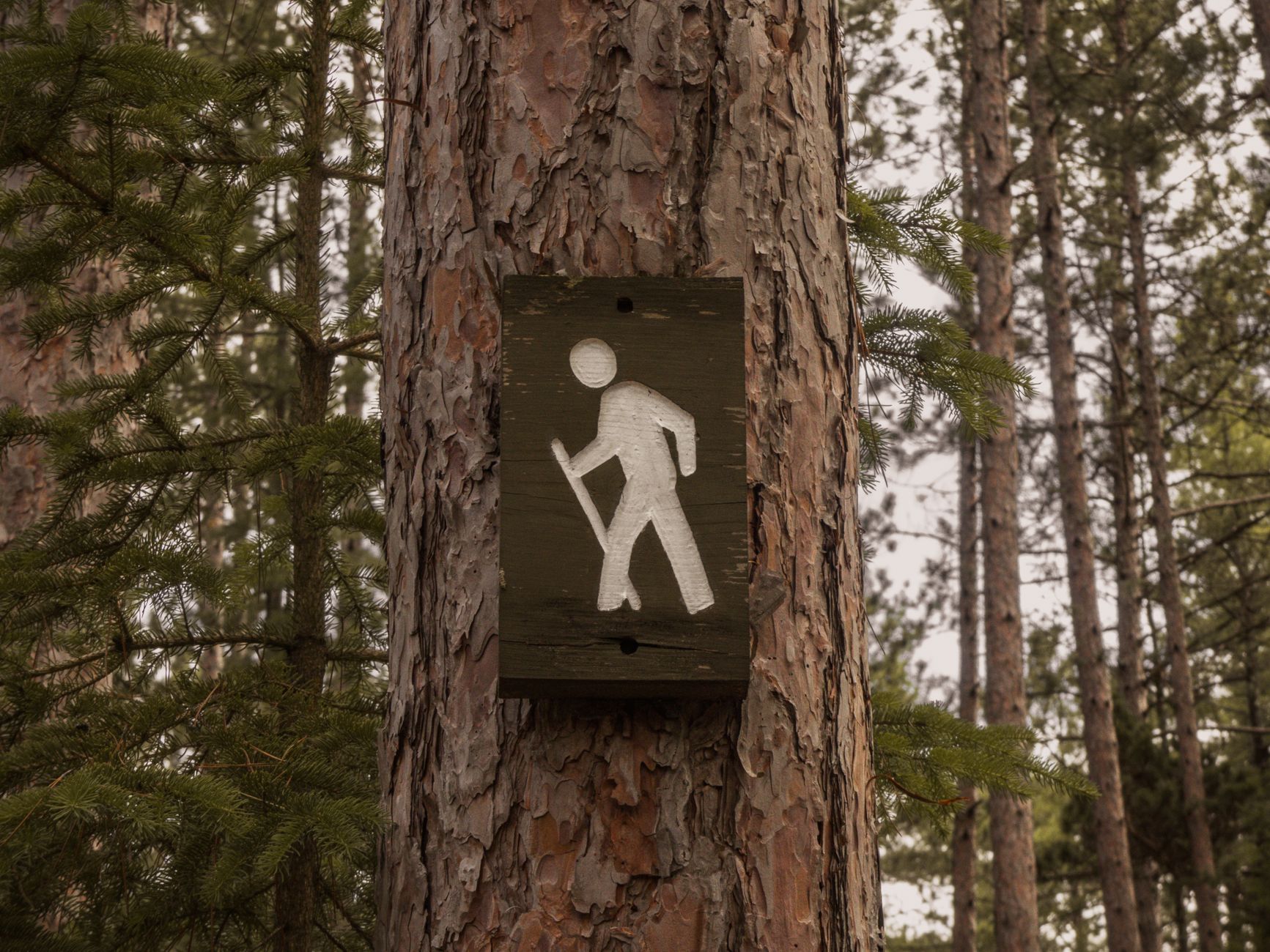 hiker navigating wilderness trail