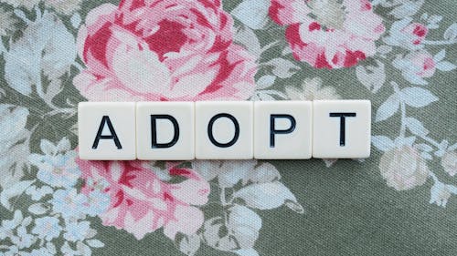 A Word Adopt Spelled with White Letter Blocks on a Floral Textile