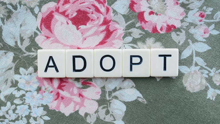 A Word Adopt Spelled With White Letter Blocks On A Floral Textile