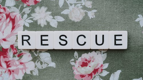 A Word Rescue Spelled with White Letter Blocks on a Floral Textile
