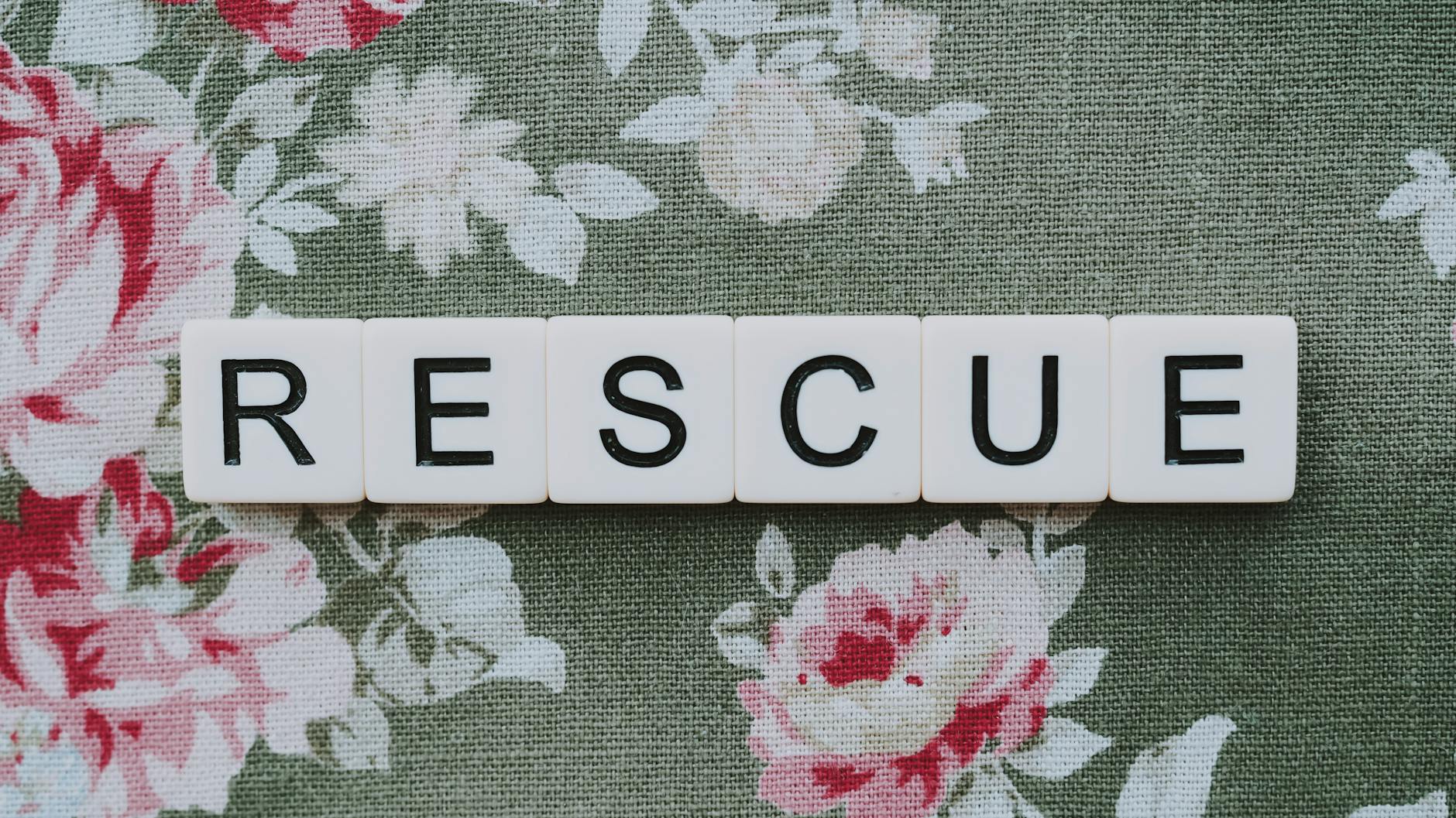 Rescue spelled out with letter tiles on a floral textile background, symbolizing hope and recovery.