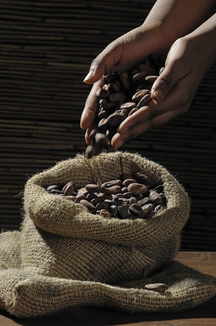 Crop Person Pouring Out Roasted Coffee Beans In Burlap Sack