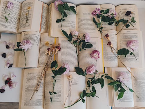 Free Purple and Yellow Flowers on Book Pages Stock Photo