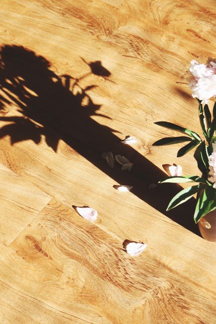 Dramatic shadows of peony flowers and petals on a sunlit wooden surface, creating a natural art piece.