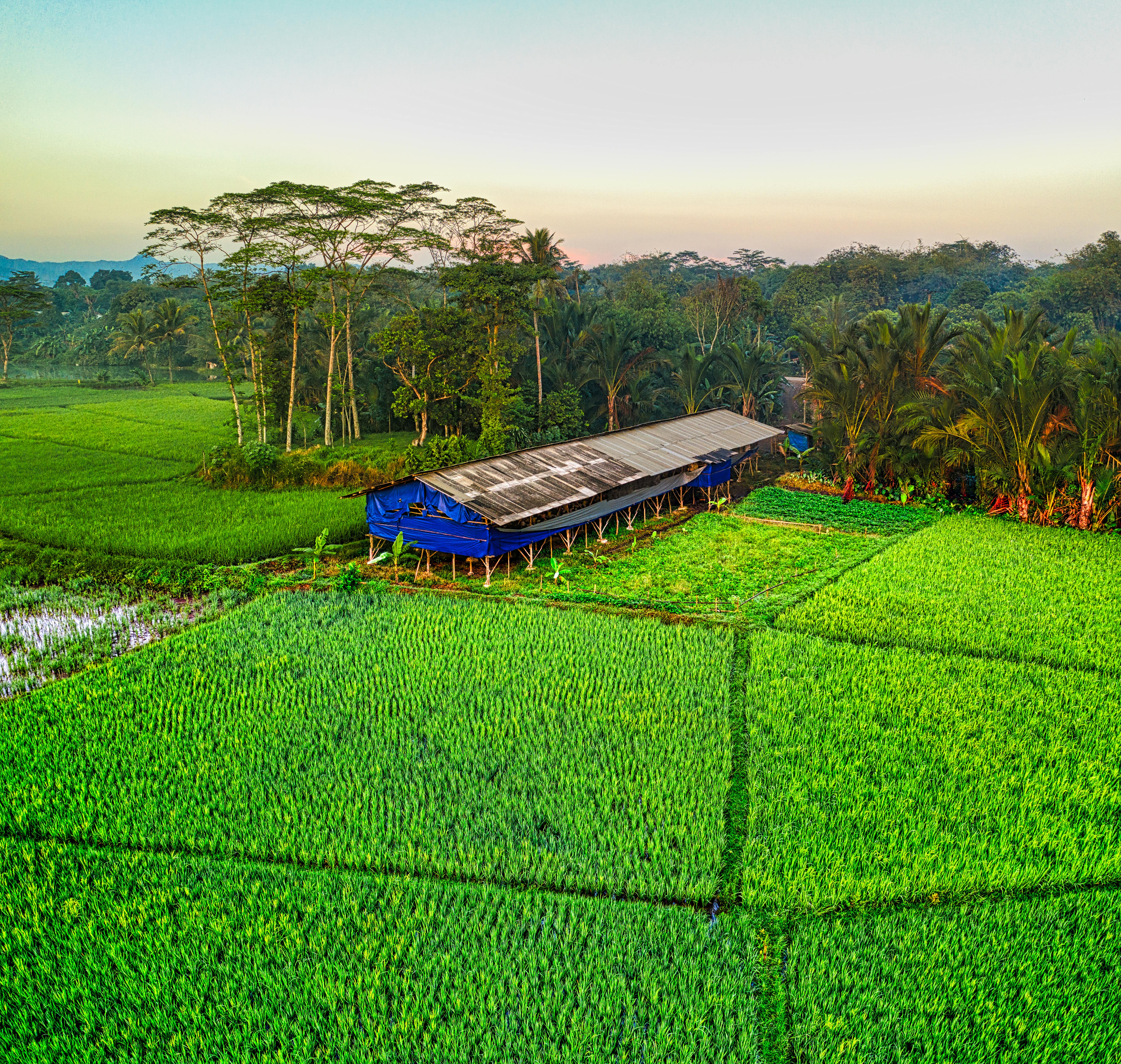 blue and black bus on green grass field