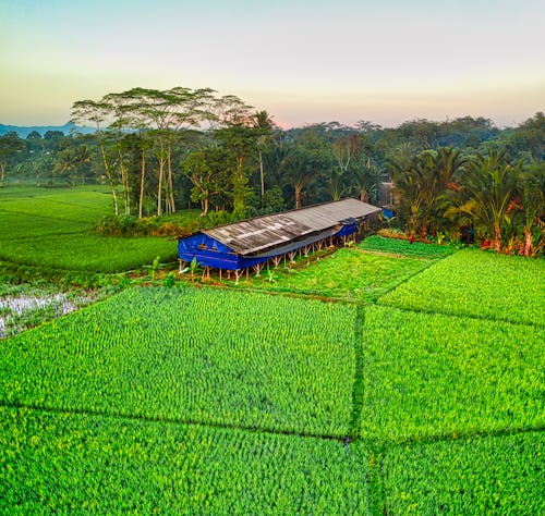 Δωρεάν στοκ φωτογραφιών με αγρόκτημα, αεροφωτογράφιση, γεωργία