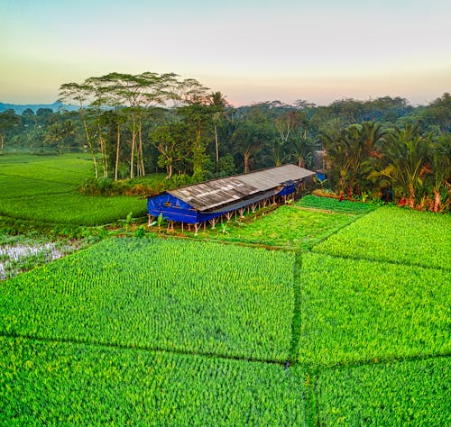 Blue and Brown House on Green Grass Field