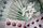 medical billing