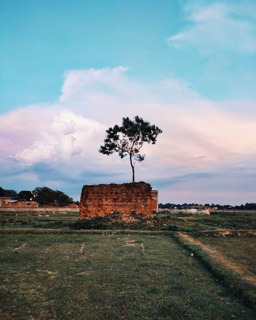 Foto profissional grátis de arquivado, céu, colorido