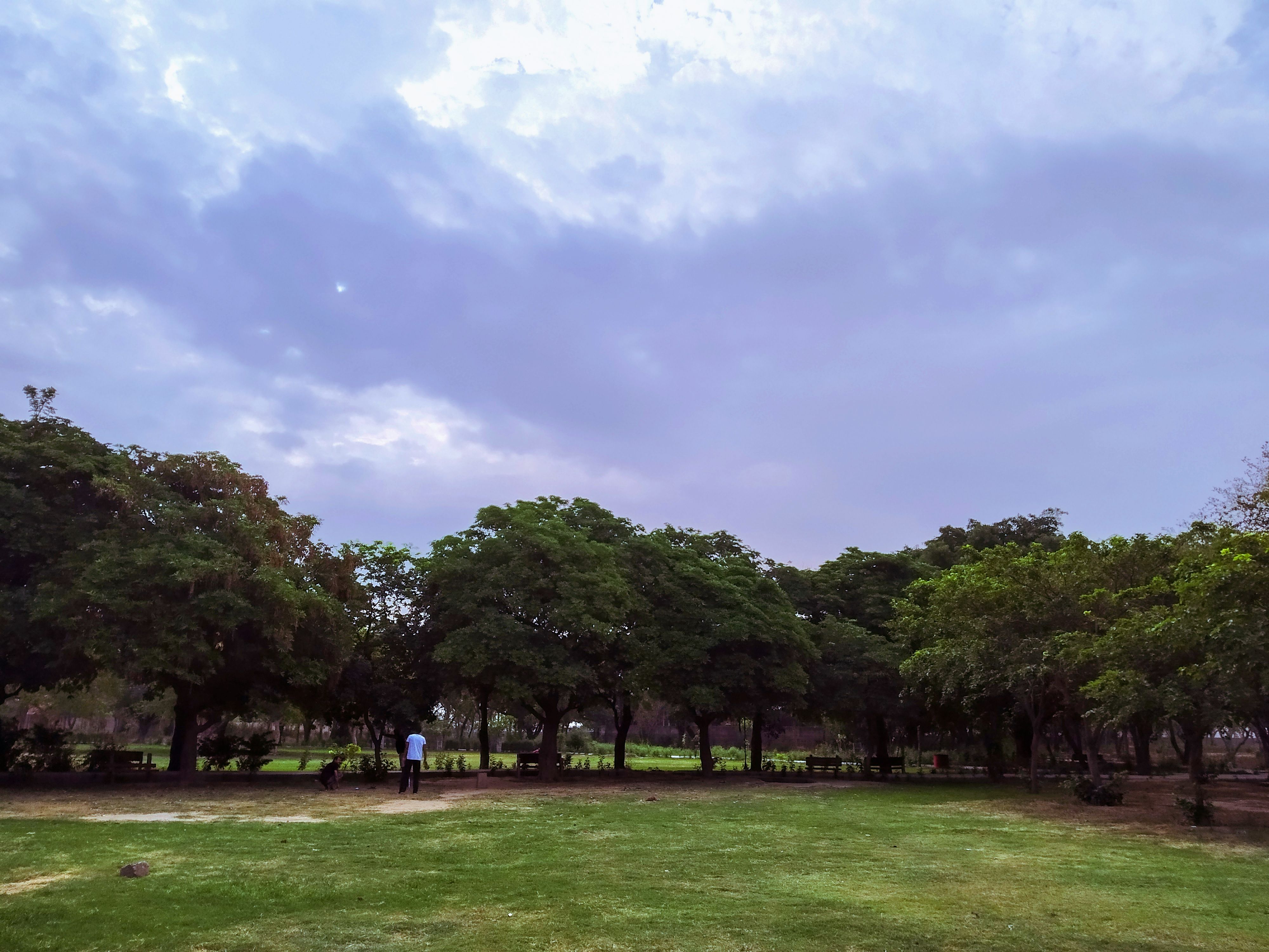 Featured image for the article: MCD makes councillor approval mandatory for park upkeep partnerships