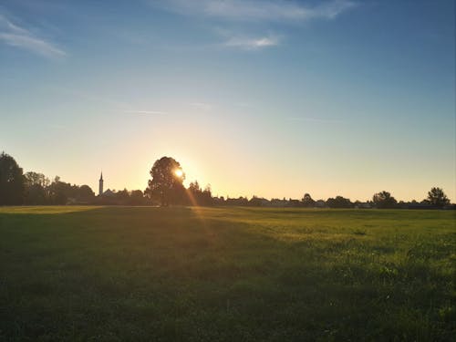 คลังภาพถ่ายฟรี ของ ซิลูเอตต์, ดวงอาทิตย์, ตอนเช้า
