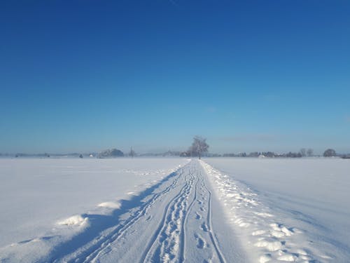 Бесплатное стоковое фото с дорога, зима, колеи