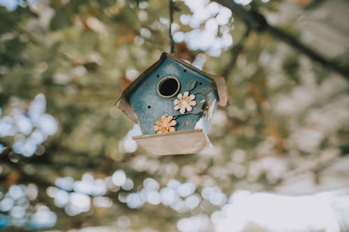Low Angle Shot of Hanging Bird House