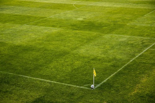 昼間の緑の芝生のフィールドの側に白と黒のサッカーボール