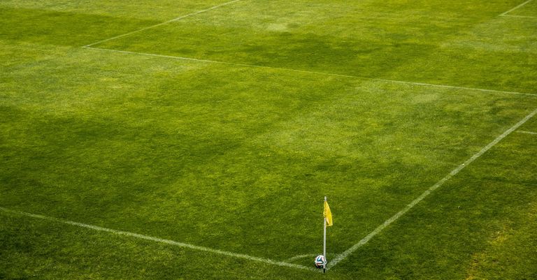 Ger Manley resigns as Cork senior camogie manager