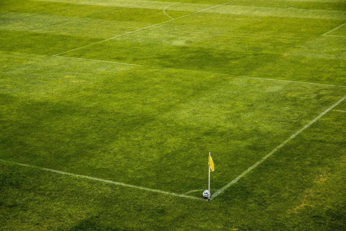 Gündüz Yeşil çim Sahanın Yanında Beyaz Ve Siyah Futbol Topu