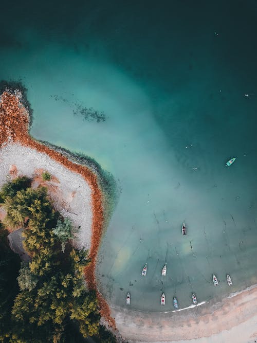 푸른 나무와 모래 사장이있는 열대 리조트의 놀라운 풍경