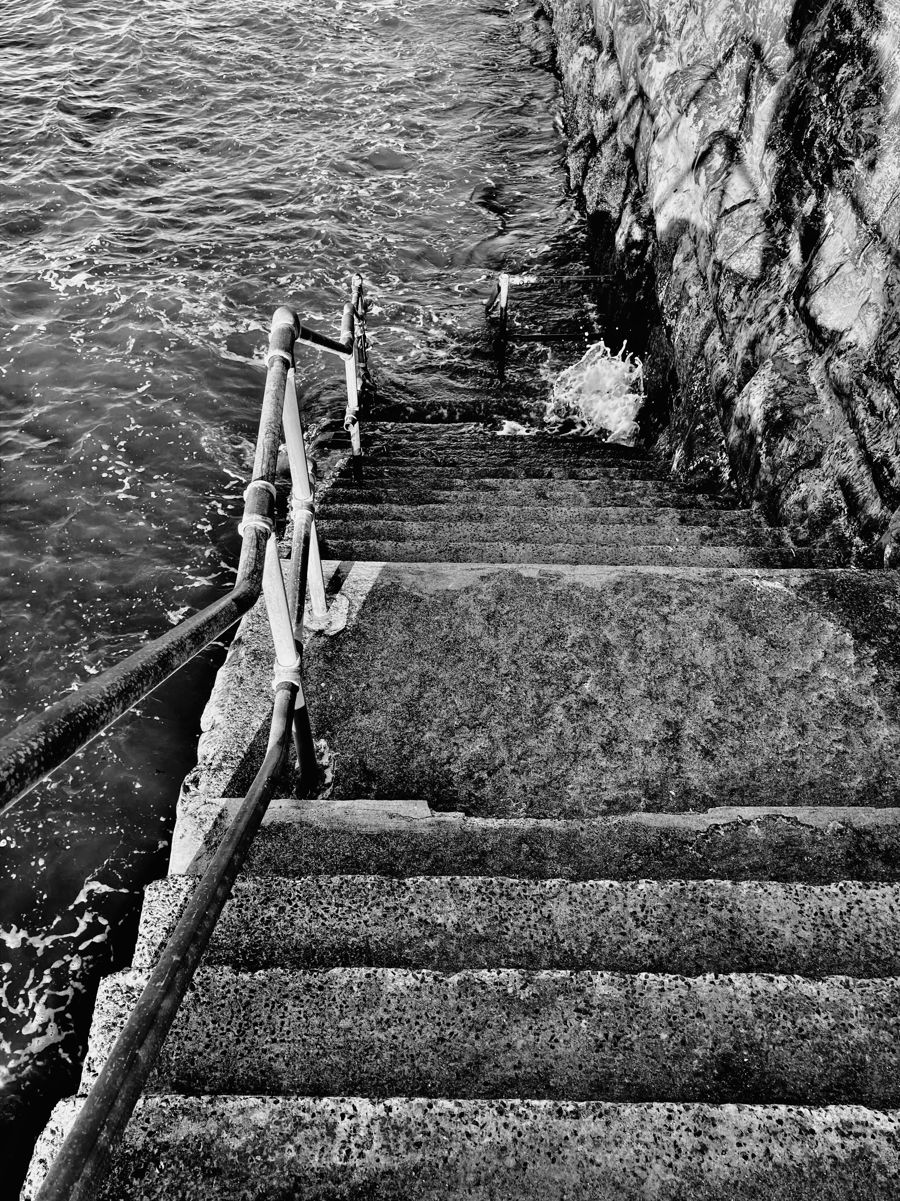 Photo by Lisa Fotios