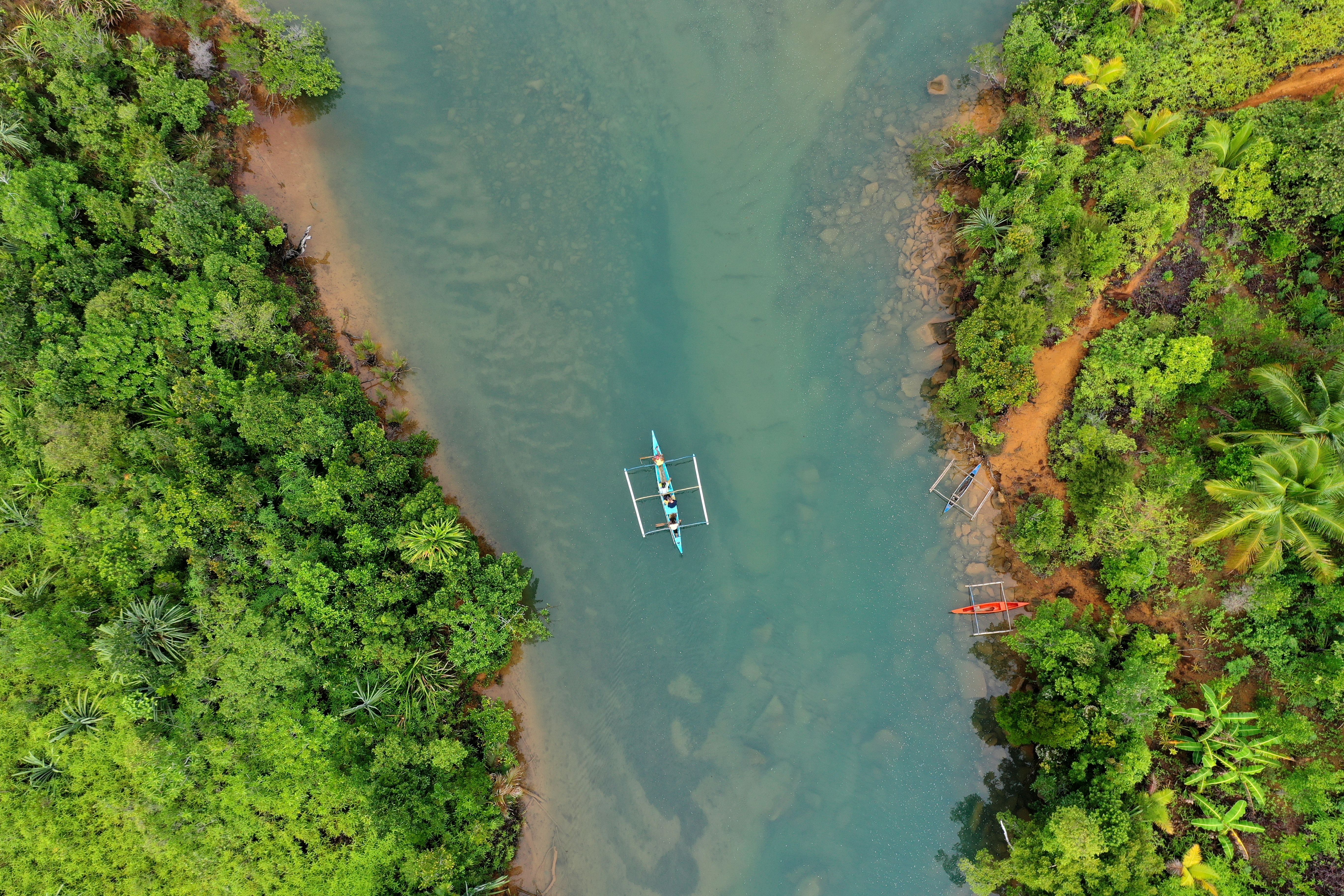 Aerial View of Green Trees and River · Free Stock Photo