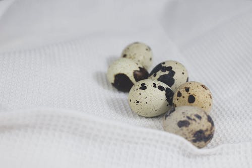 Quail Eggs on White Fabric