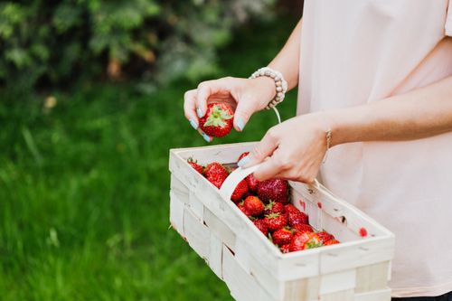Free A woman holding a basket full of fresh strawberries outdoors, symbolizes healthy living. Stock Photo