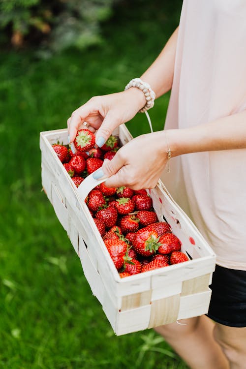 Person Holding a Woven Basket with Strawberries 