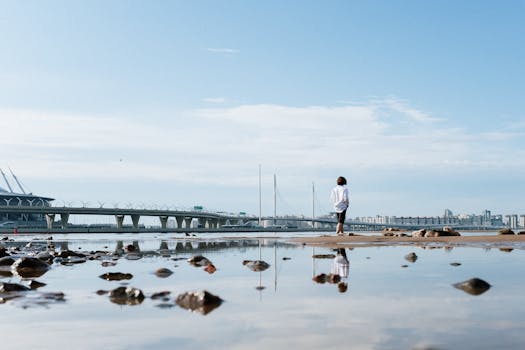 水面上站着一个孤独的人，倒映出远处的现代桥梁和城市景观