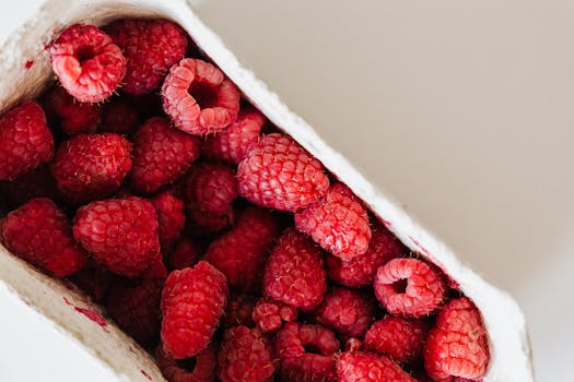 Freshly picked raspberries in a container, ideal for healthy eating concepts.