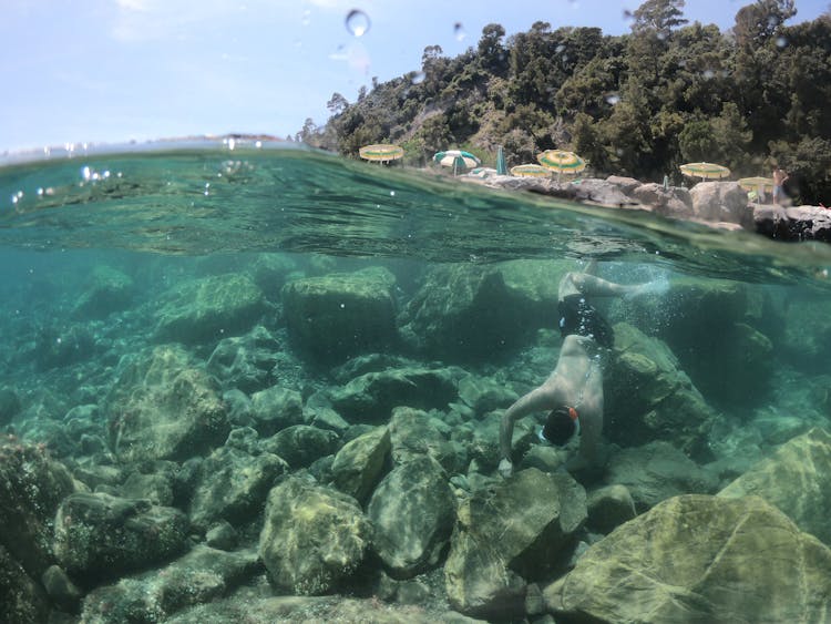 Man In Black Shorts Diving On Water