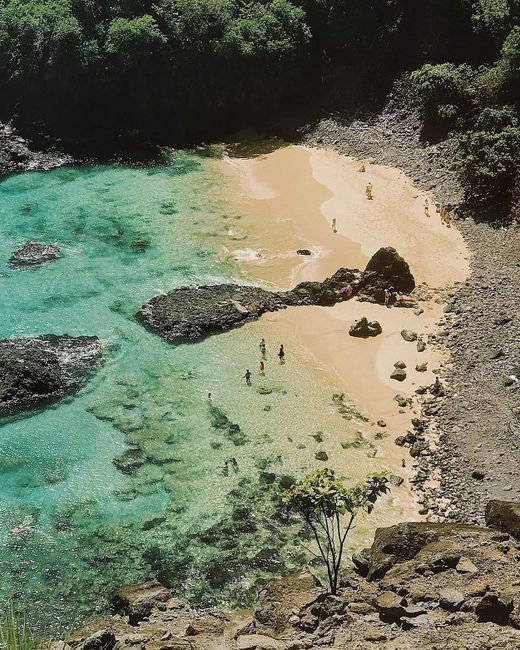 A stunning aerial view of a beach cove in Fernando de Noronha, showcasing turquoise waters and sandy shores.