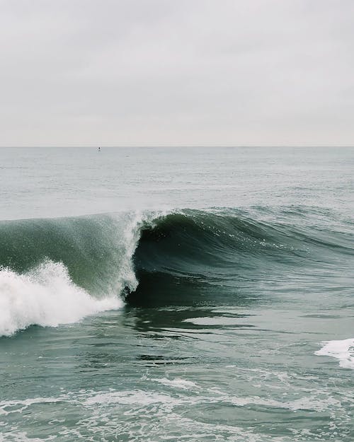 Foto d'estoc gratuïta de aigua, esquitxant, mar