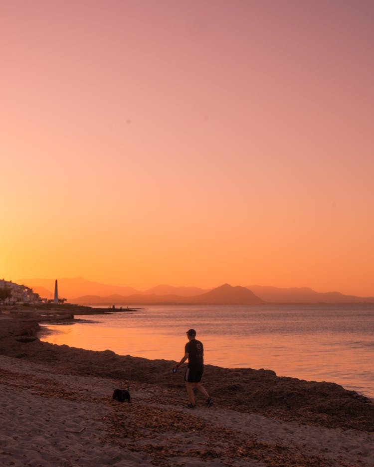 Walking With Dog On Shore At Dawn