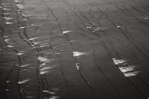 Grayscale Photo of Body of Water