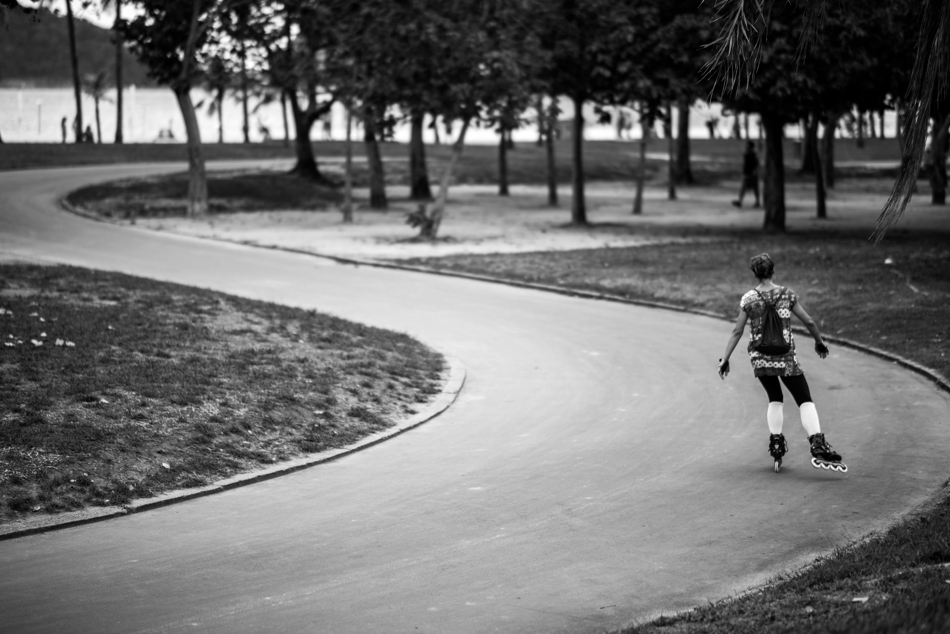 Black and white of sporty male in helmet with backpack rollerblading on winding asphalt road tall trees in summer day