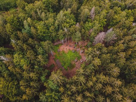 Aerial view capturing the vibrant greenery of a forest in Liberec, Czechia.