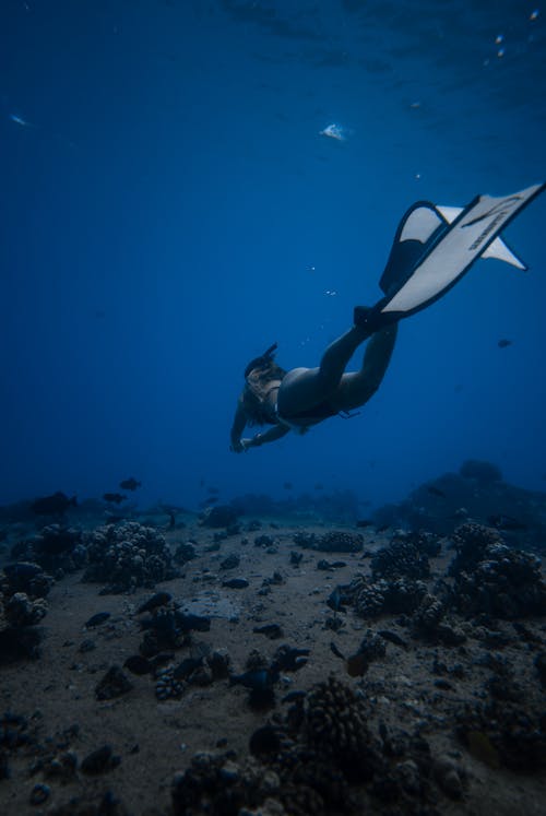 Woman in Gray Wetsuit and White Flippers Swimming Underwater