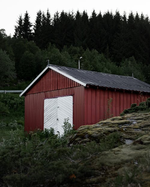 노르웨이, 농장, 농촌의의 무료 스톡 사진