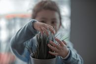 Boy in Blue Long Sleeve Shirt Holding Silver Bucket