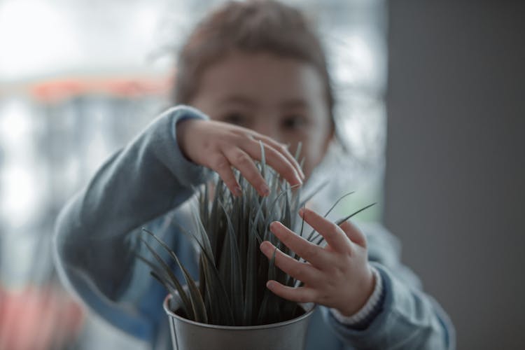 Child Grabbing Plant