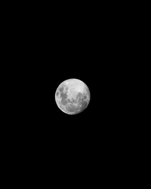 De franc Foto d'estoc gratuïta de cel nocturn, fotografia de lluna, lluna plena Foto d'estoc