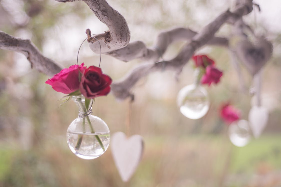 Shallow Focus Photography of Clear Glass Hanging Decor With Two Red Roses